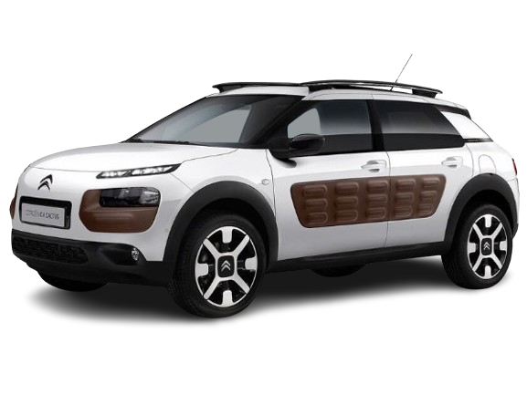 C4 Cactus